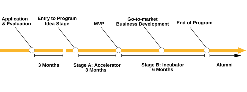 Program stages timeline.